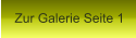 Zur Galerie Seite 1