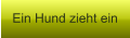 Ein Hund zieht ein