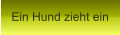 Ein Hund zieht ein